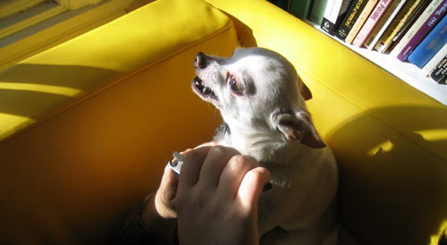 Nagels knippen