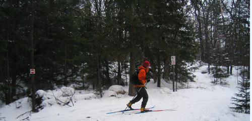 cross country skiing