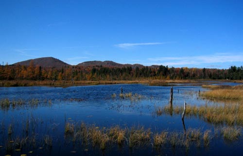 Pond