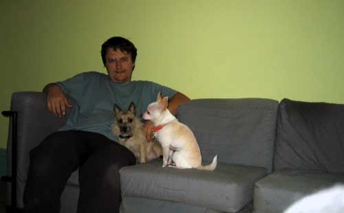 Honden op bank