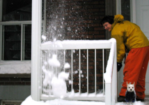 sneeuwruimen