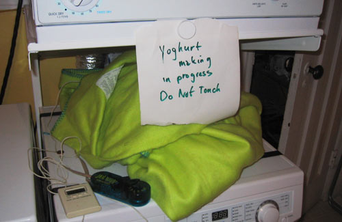 yoghurt maken