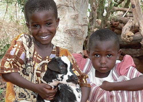 children with goat