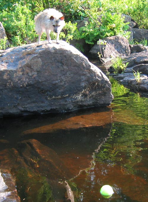 poupoune and the ball