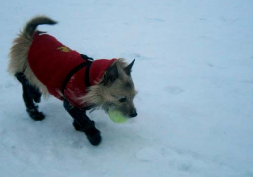 poupoune's winterboots & socks