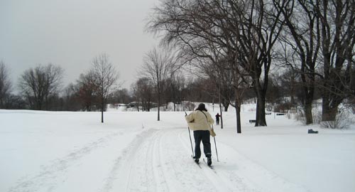 skiing on the Plains of Abraham