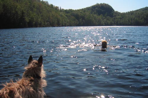 first swim